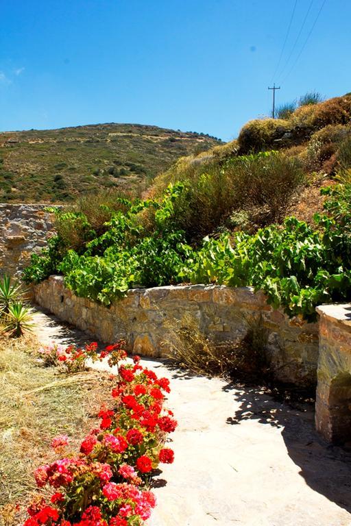 Thomas Apartments Katapola - Chora Εξωτερικό φωτογραφία