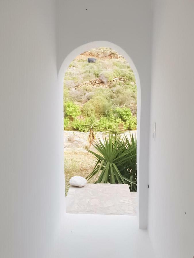Thomas Apartments Katapola - Chora Εξωτερικό φωτογραφία
